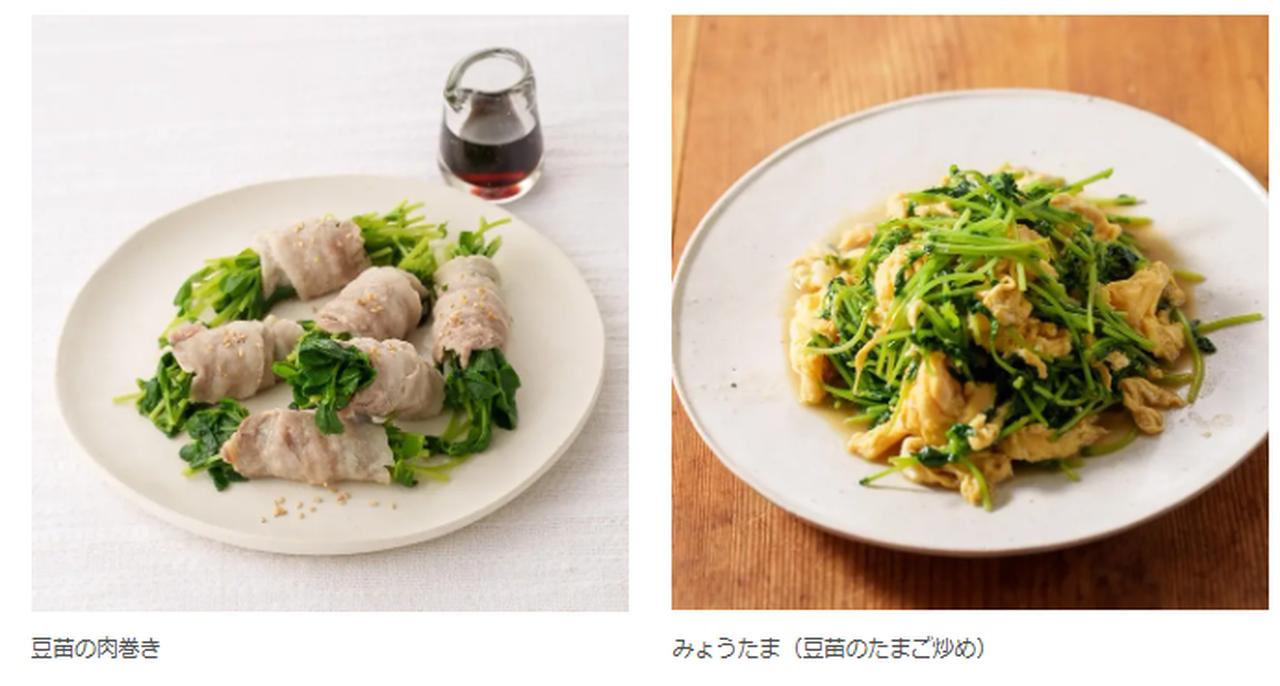 画像: 「私たちは『豆苗推し』です」