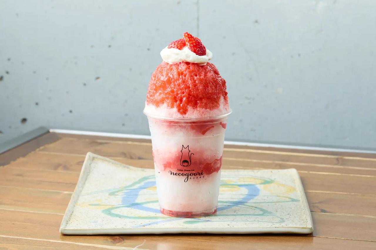 画像: TokyoShaveIce ネコゴオリのかき氷