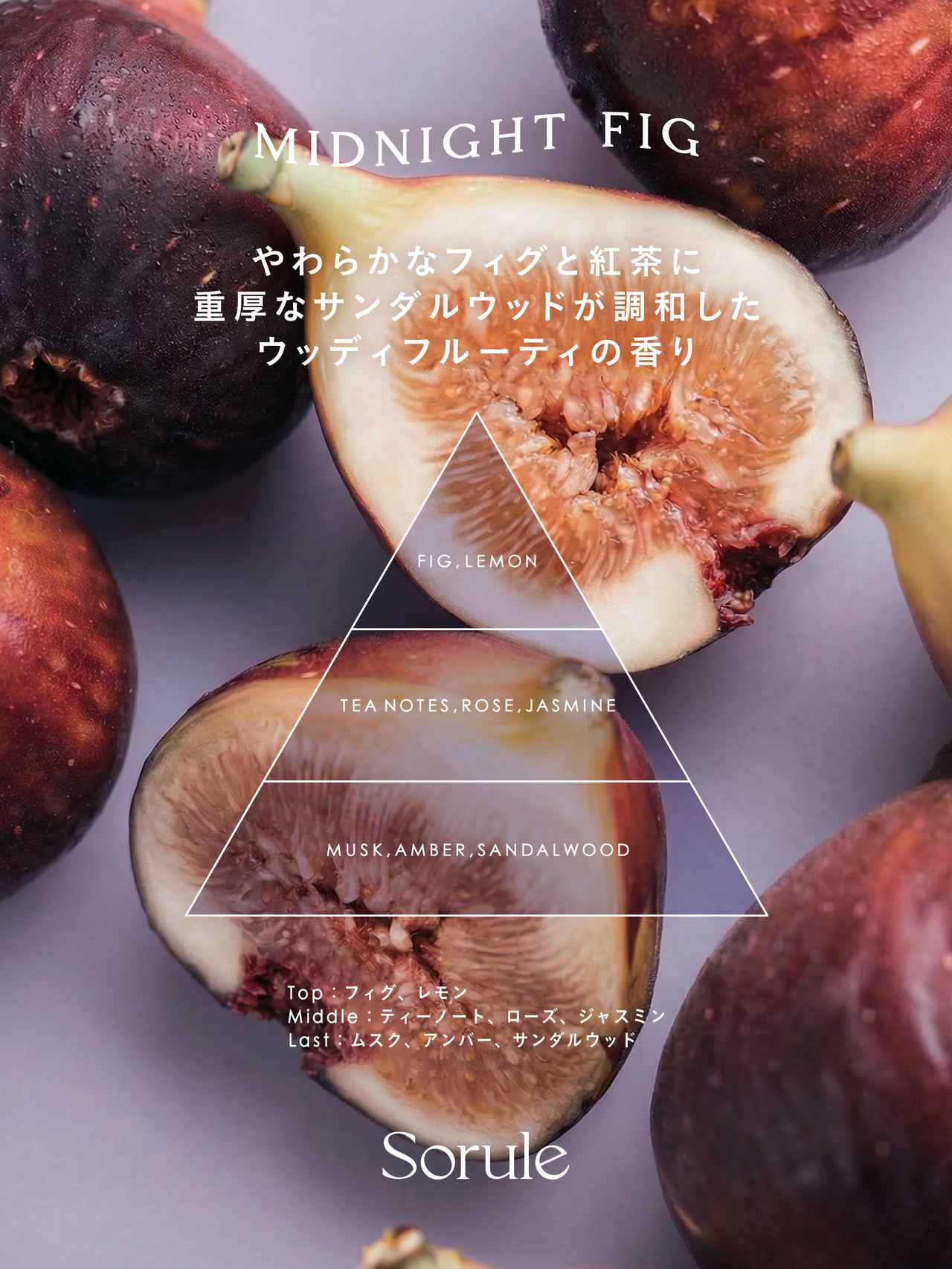 画像2: <POINT>