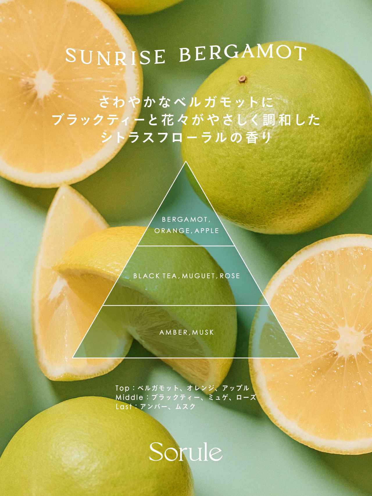 画像1: <POINT>