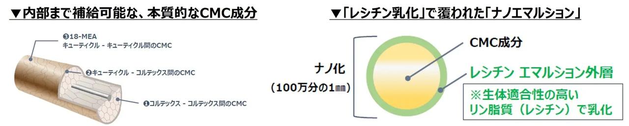 画像: 髪の“のり”を補う、独自原料「ハイパーナノCMC」