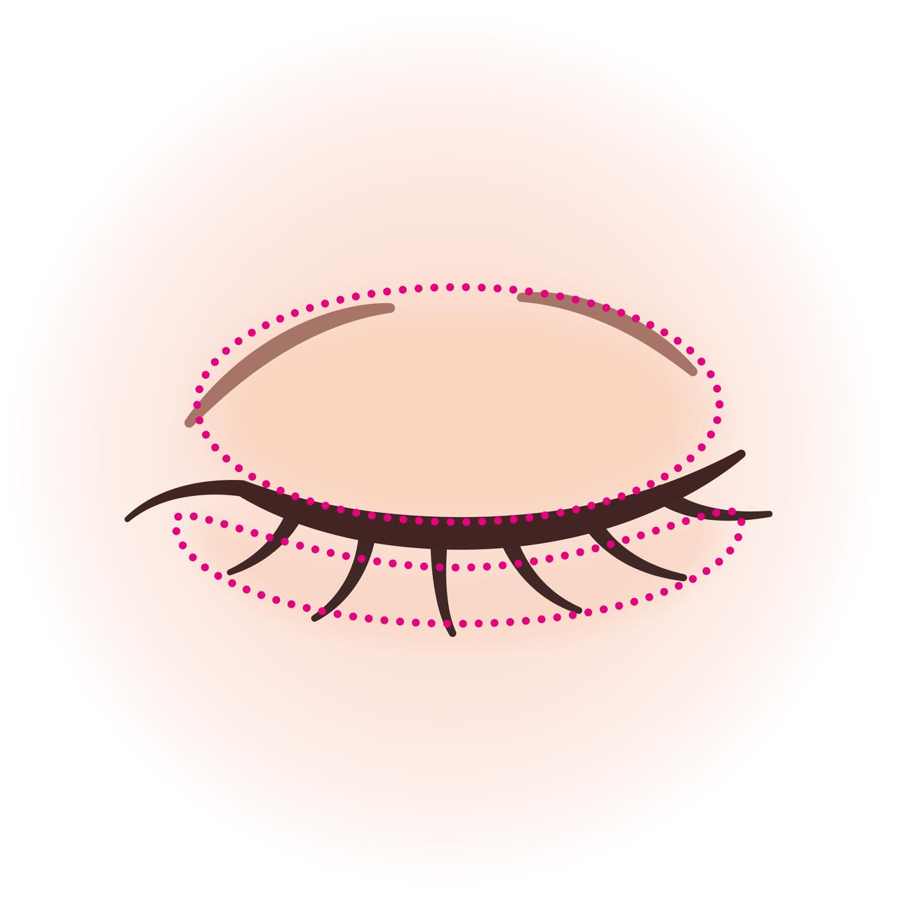 画像1: ＜HOW TO USE＞