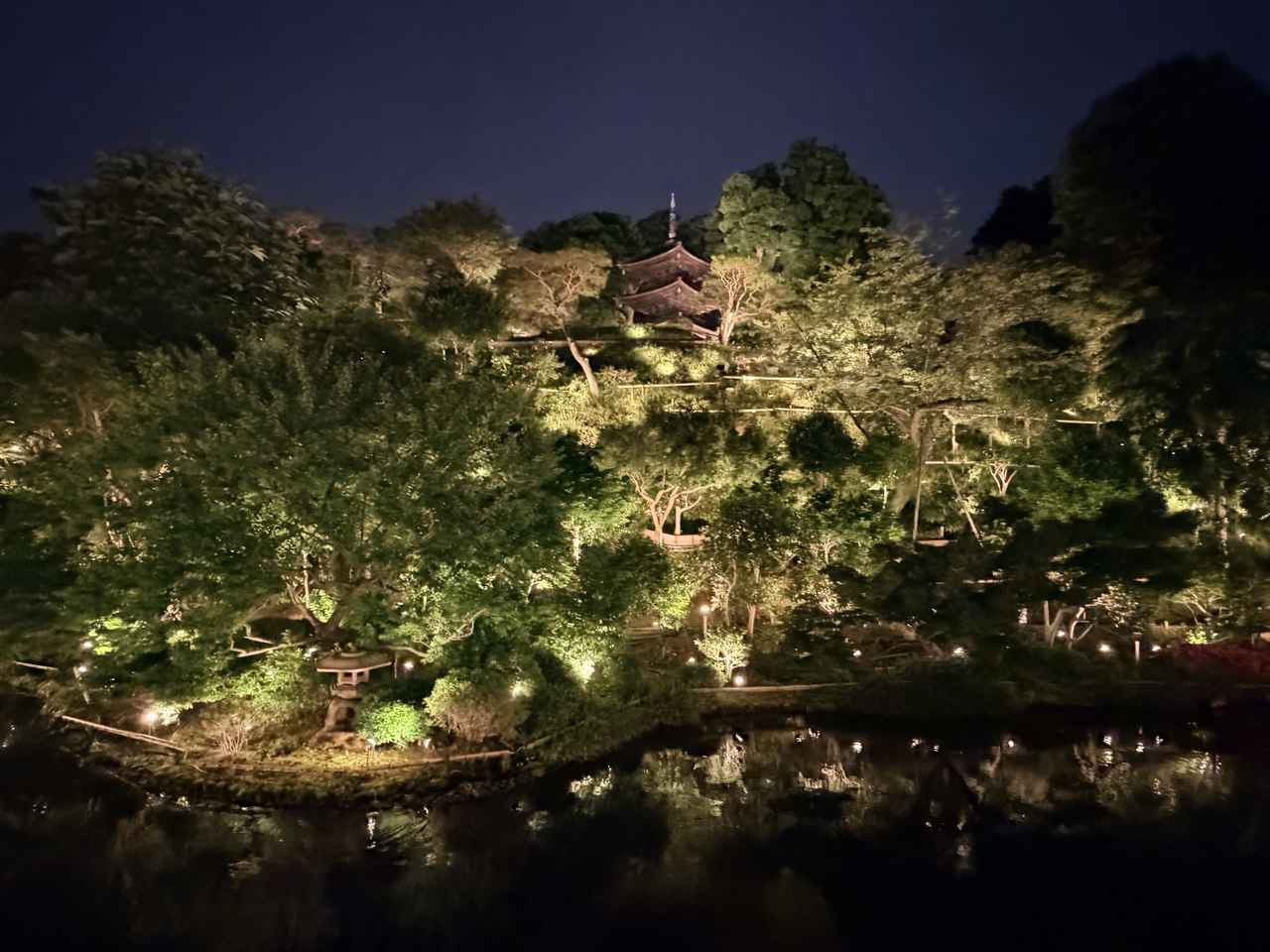 画像25: 庭園に灯る、初夏の奇跡♡ホテル椿山荘東京『ほたるの夕べ』