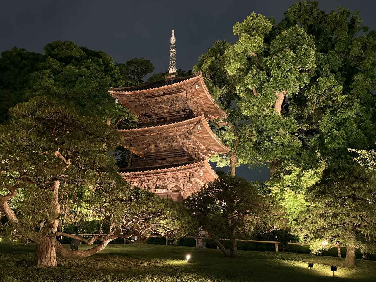 画像31: 庭園に灯る、初夏の奇跡♡ホテル椿山荘東京『ほたるの夕べ』