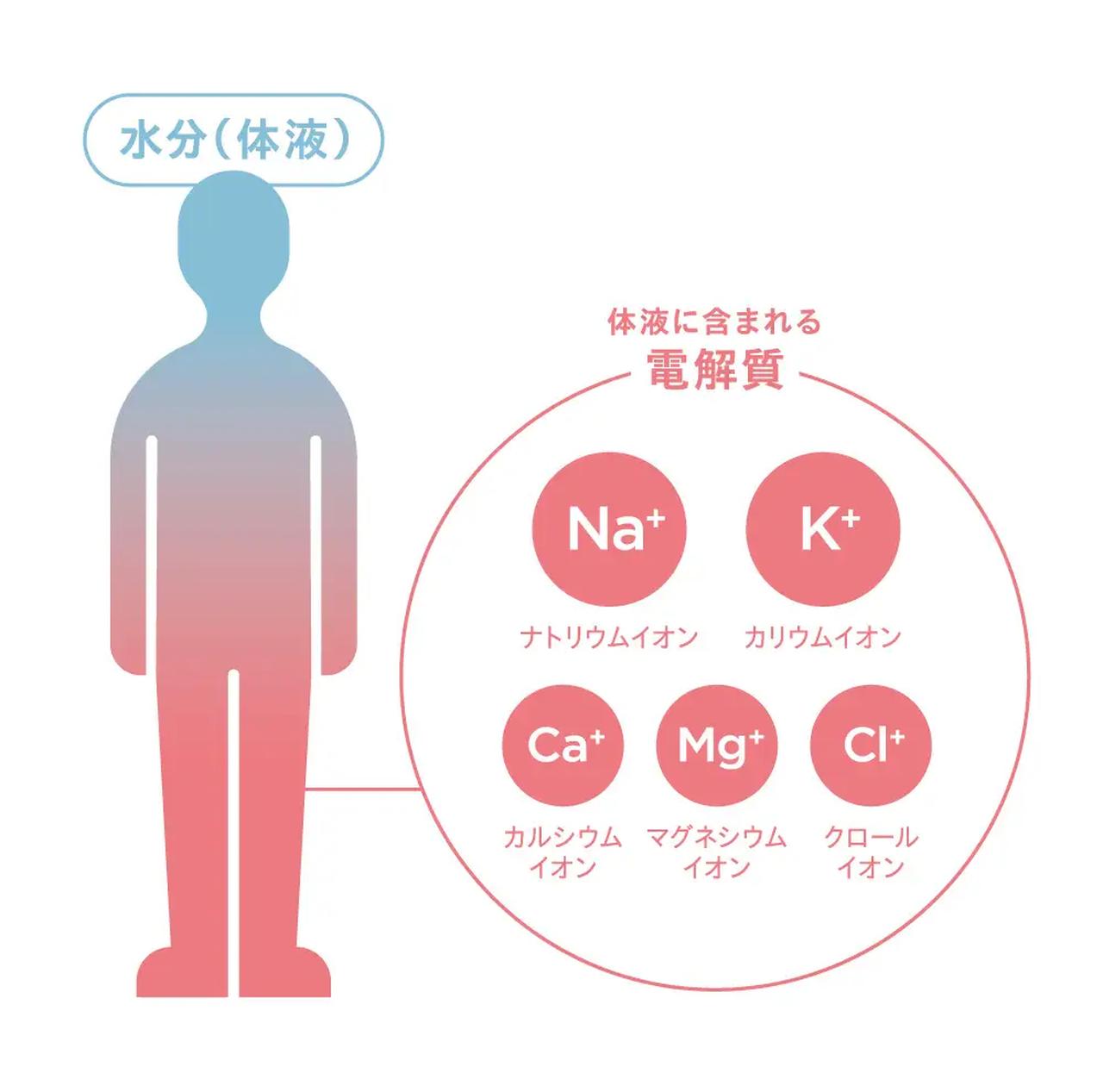画像1: キレイな人は、もう始めている♡“水を活かす”新習慣【SIMPLISSE(シンプリス)】から電解質ドリンクが新登場