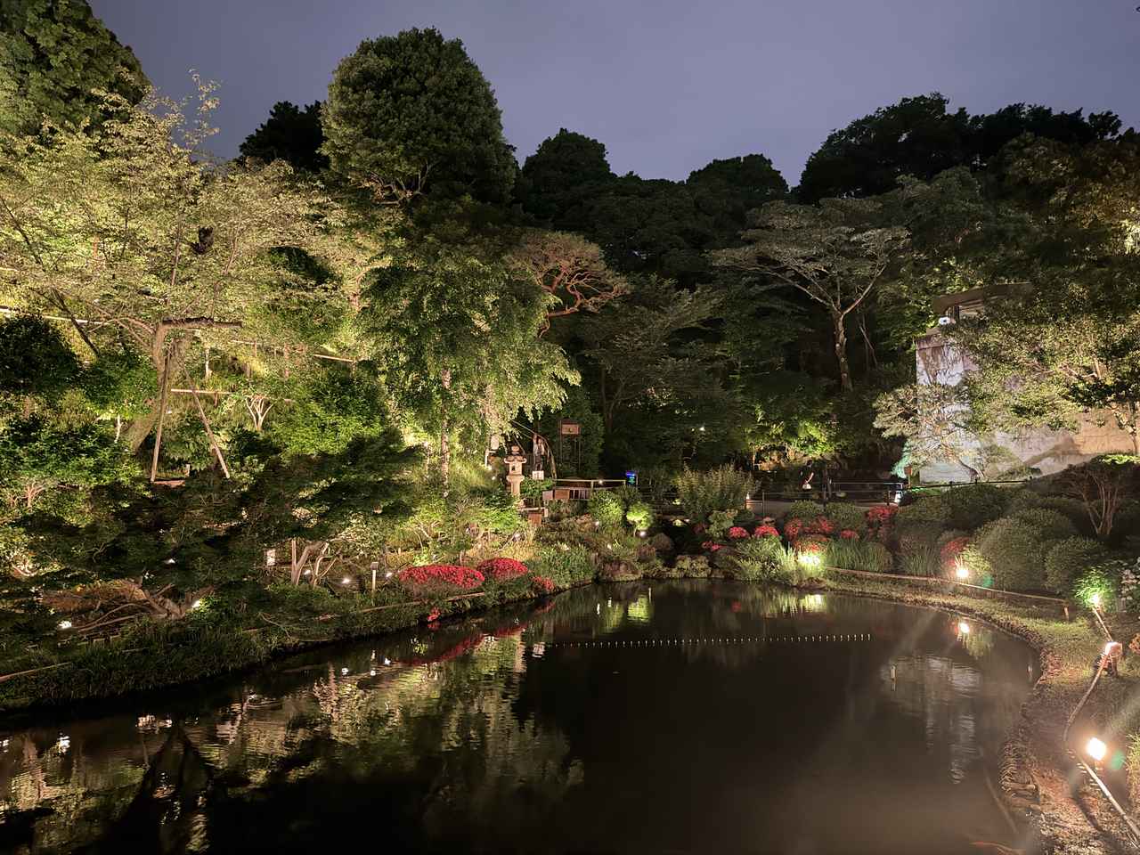 画像26: 庭園に灯る、初夏の奇跡♡ホテル椿山荘東京『ほたるの夕べ』