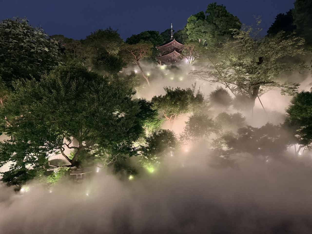 画像28: 庭園に灯る、初夏の奇跡♡ホテル椿山荘東京『ほたるの夕べ』