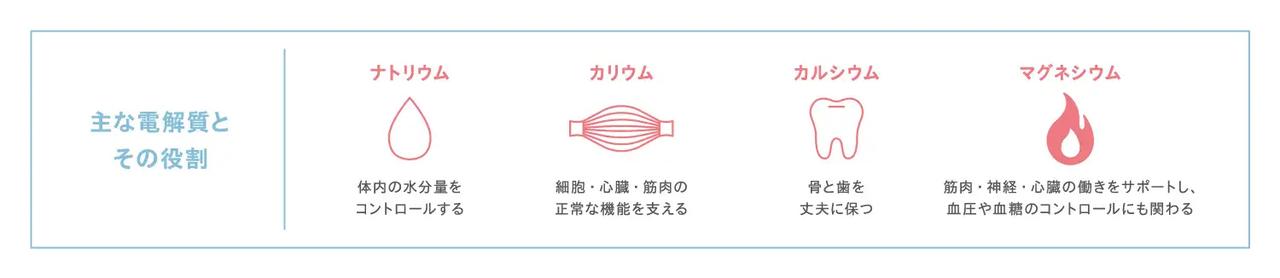 画像1: エレクトロライト(電解質)って一体どんなもの?