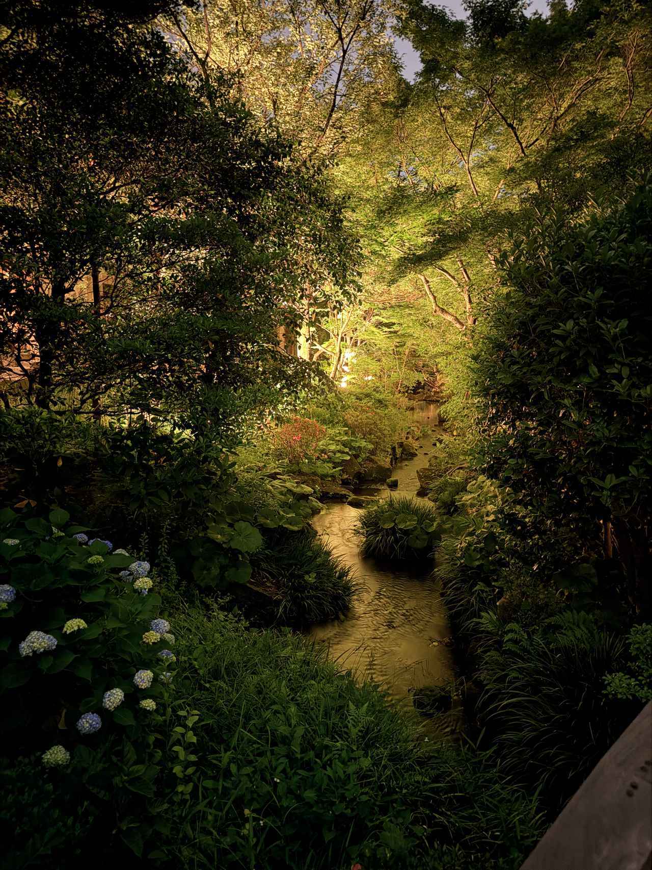 画像24: 庭園に灯る、初夏の奇跡♡ホテル椿山荘東京『ほたるの夕べ』