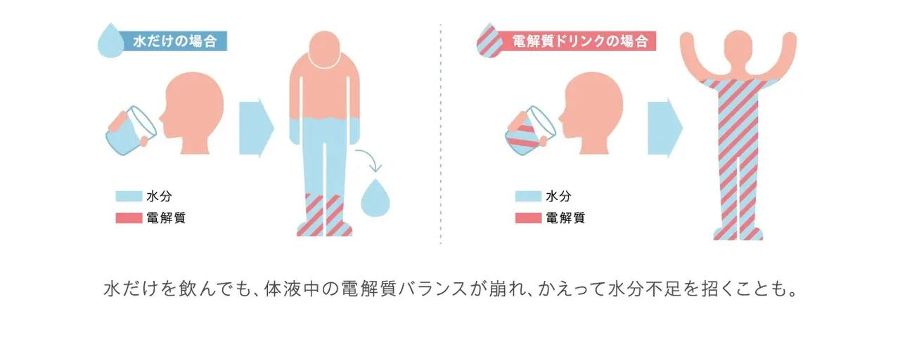 画像2: エレクトロライト(電解質)って一体どんなもの?