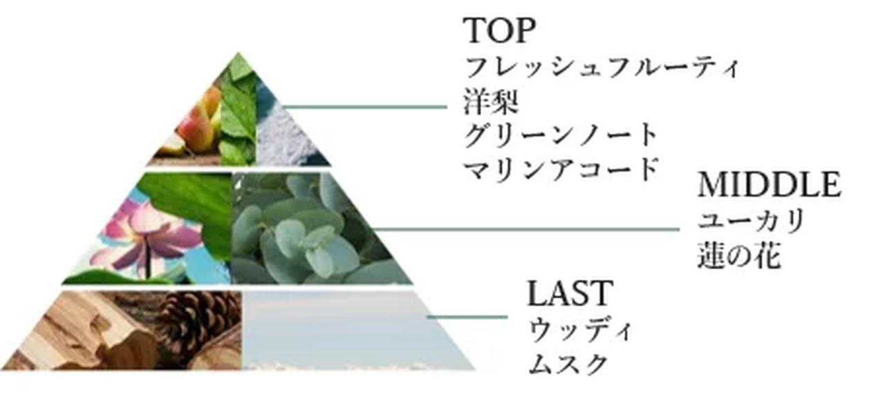 画像: 軽やかに香る、リフレッシュマリンの香り 頭皮がすっきり整った感覚を高めるリフレッシュマリン。 透明感のある香りが、バスルームを清々しく包みます。