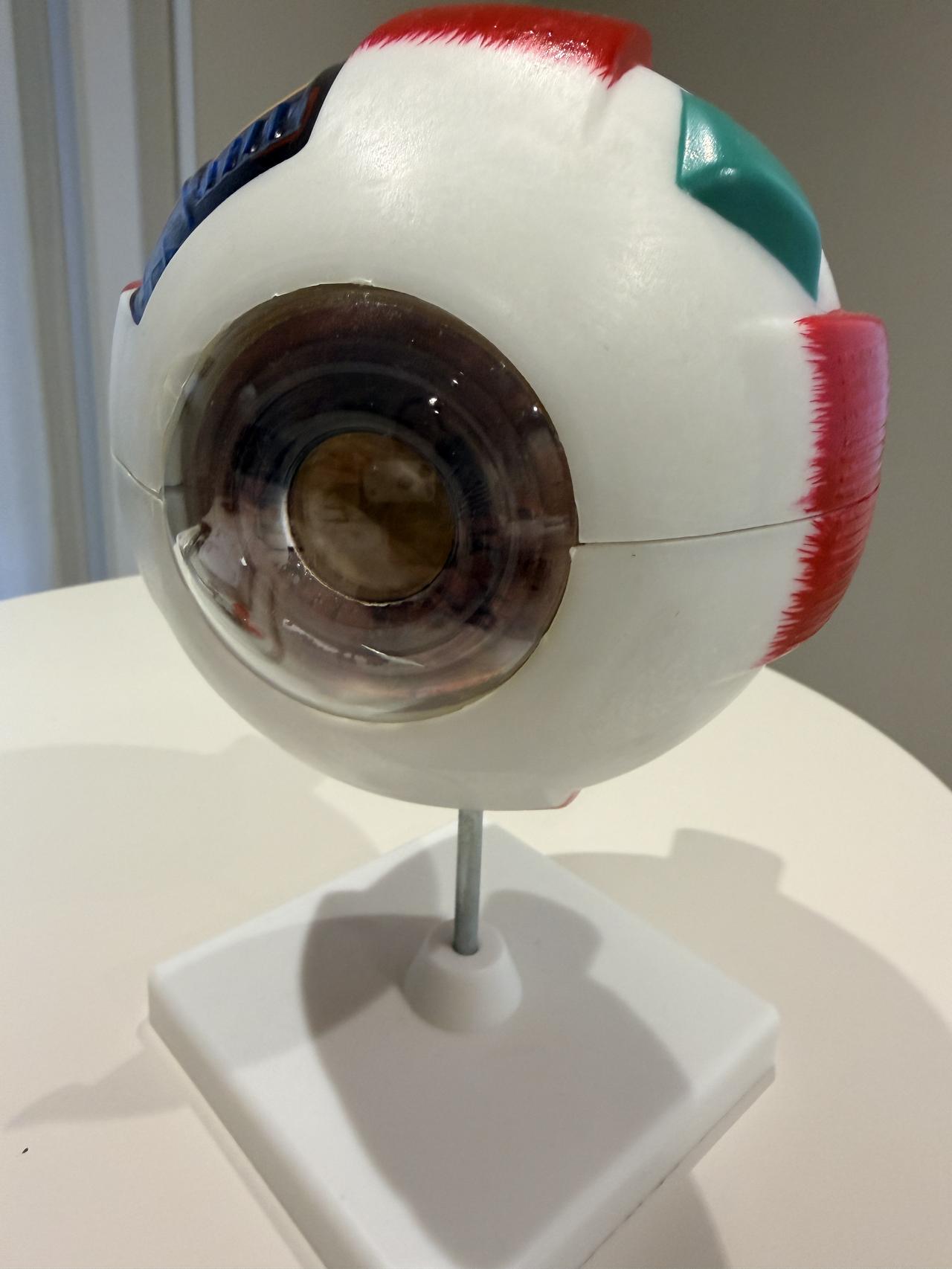 画像: スマホ疲れ、放置してない?視力改善×美容を叶える“眼の整体院”が人気上昇中
