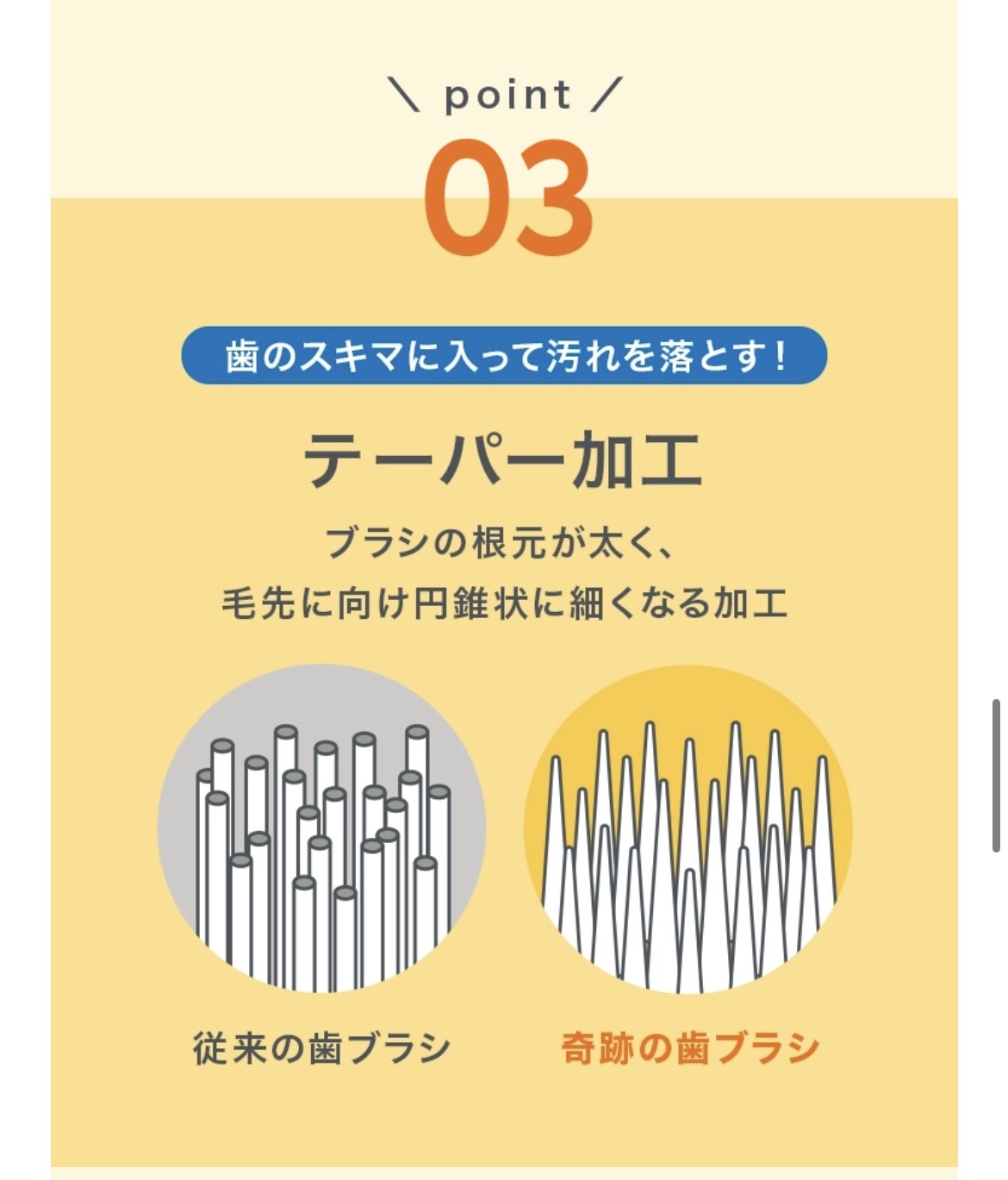 画像: ③さらに毛の細部にも工夫を!毛の先端はテーパー加工