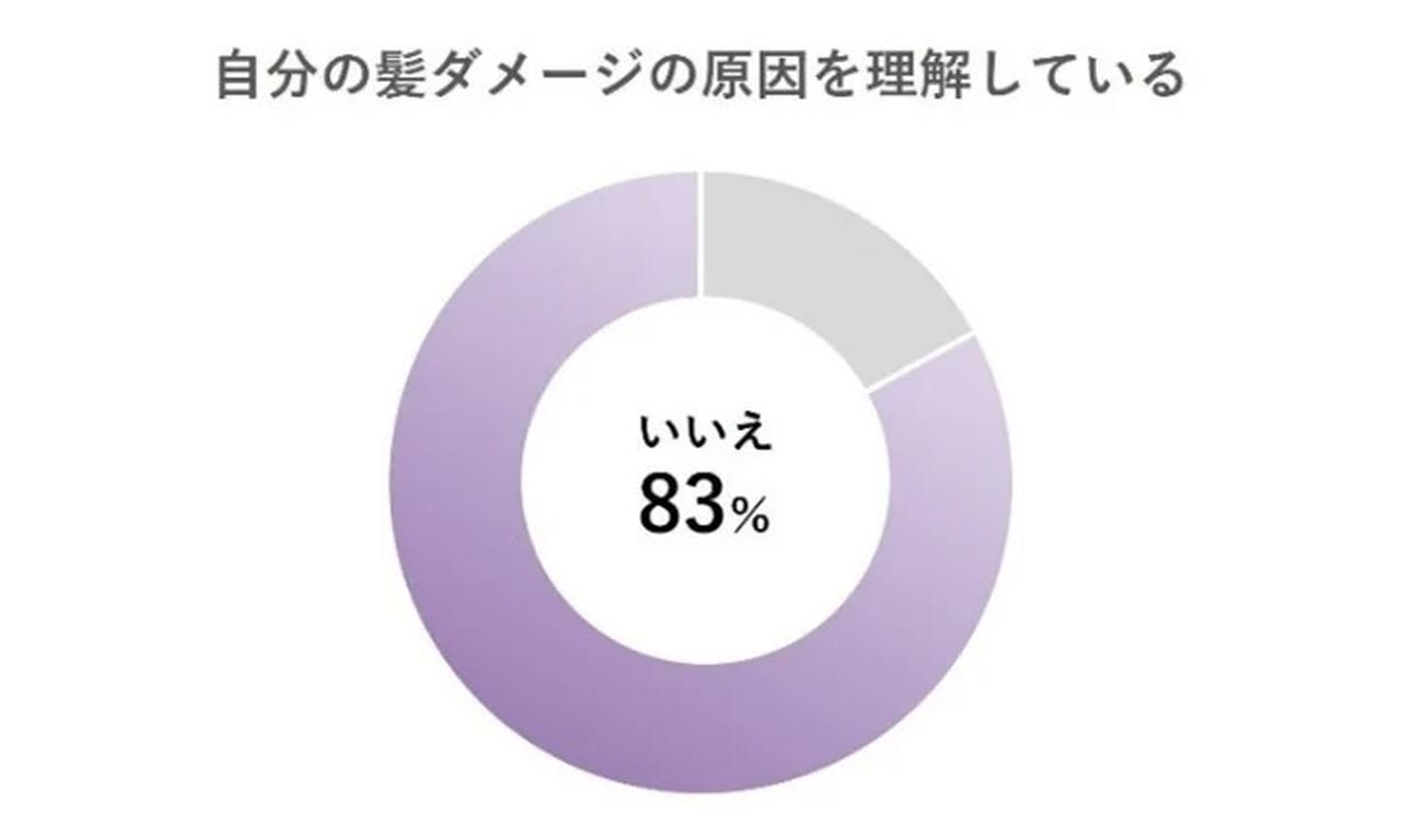 画像2: “原因がわからないダメージ”に、クリスタルシリーズが出した答え