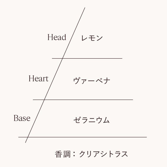 画像: ⚪︎リニューアルポイント