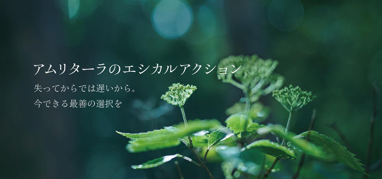 画像: ー失ってからでは遅いから。今できる最善の選択をー アムリターラのエシカルアクション