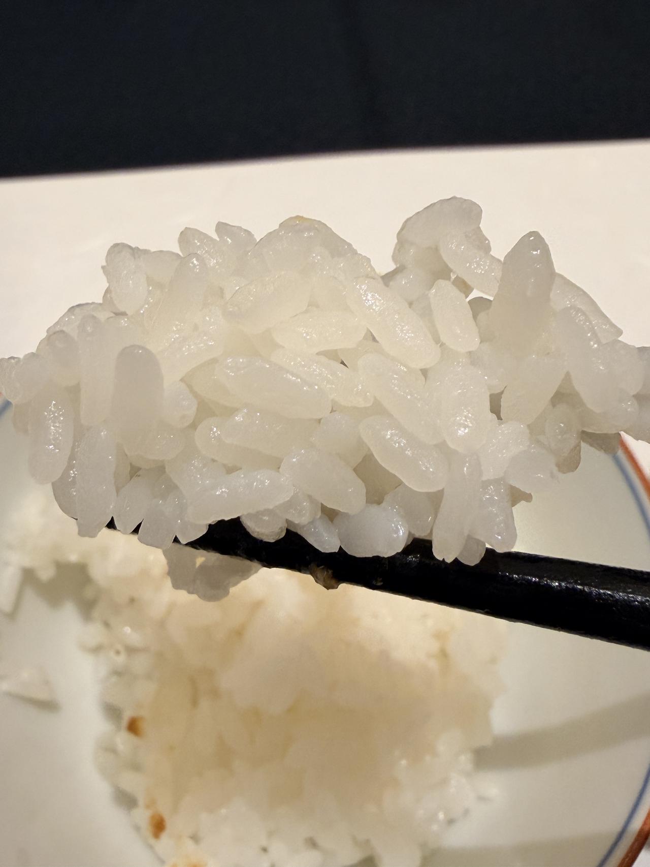 画像1: 鳥取✖熊本の美食が奇跡のコラボ！♡割烹 BUTAIで「食パラダイス鳥取県✖食のみやこ熊本県フェア」開催