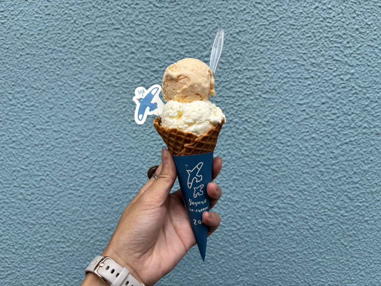 画像1: 店舗限定!じっくり凍らせた「熱海ヨーグルトアイス」