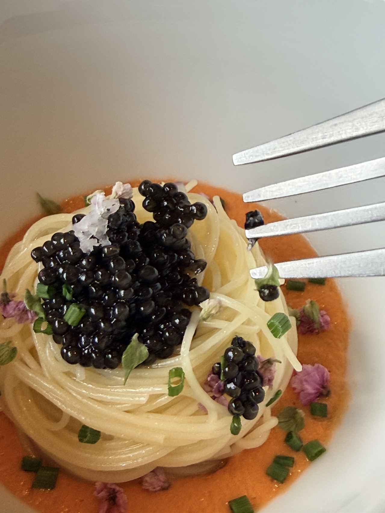 画像5: 【予約必須】プラダの世界観に浸る♡リストランテ オッツィオで味わうミラノのエレガンス