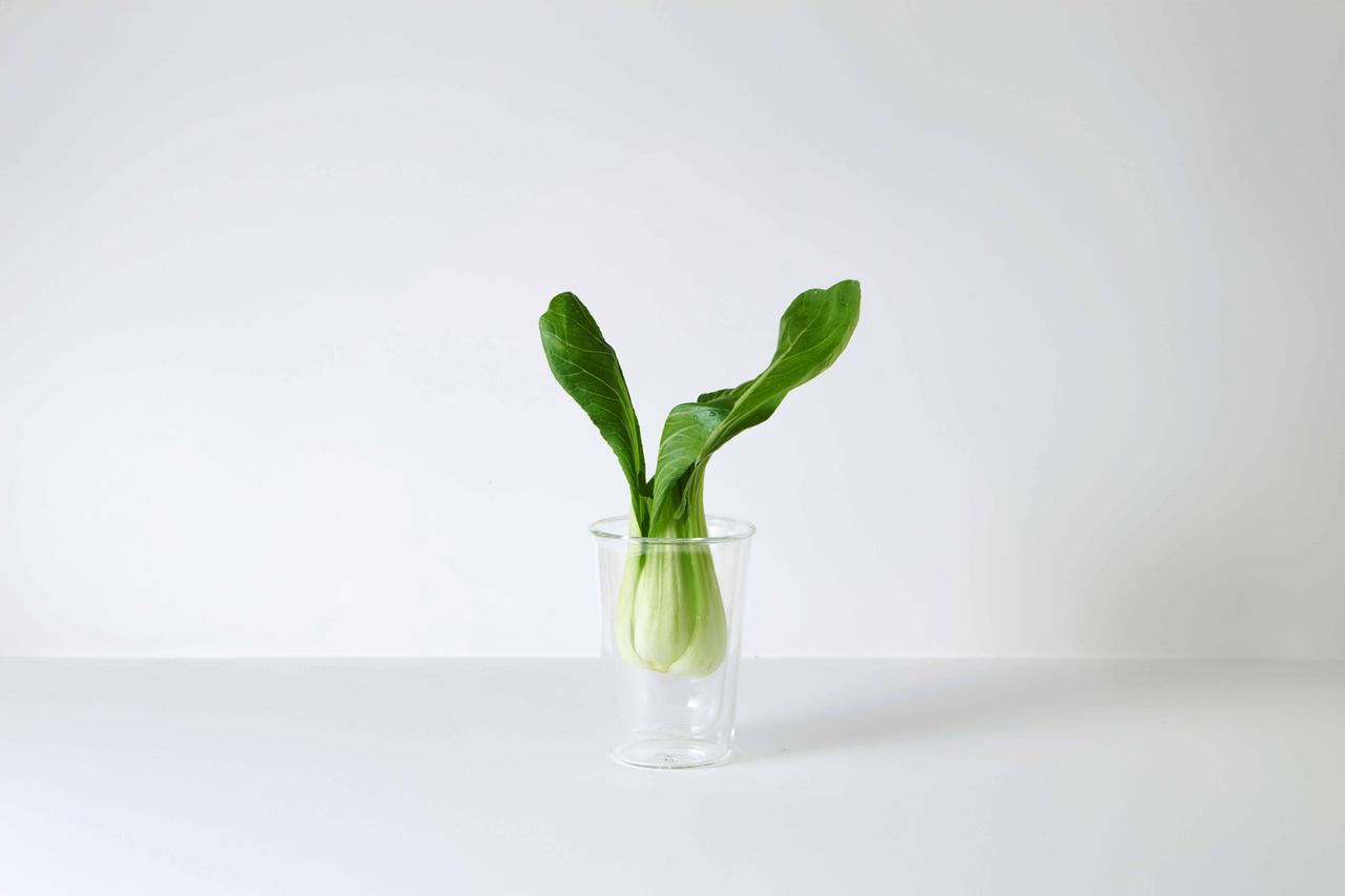 画像: ・PerfectFresh Active 搭載