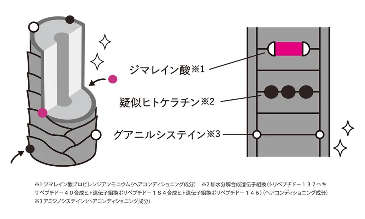 画像: 3つのサロン級成分が叶える、贅沢なダメージ補修