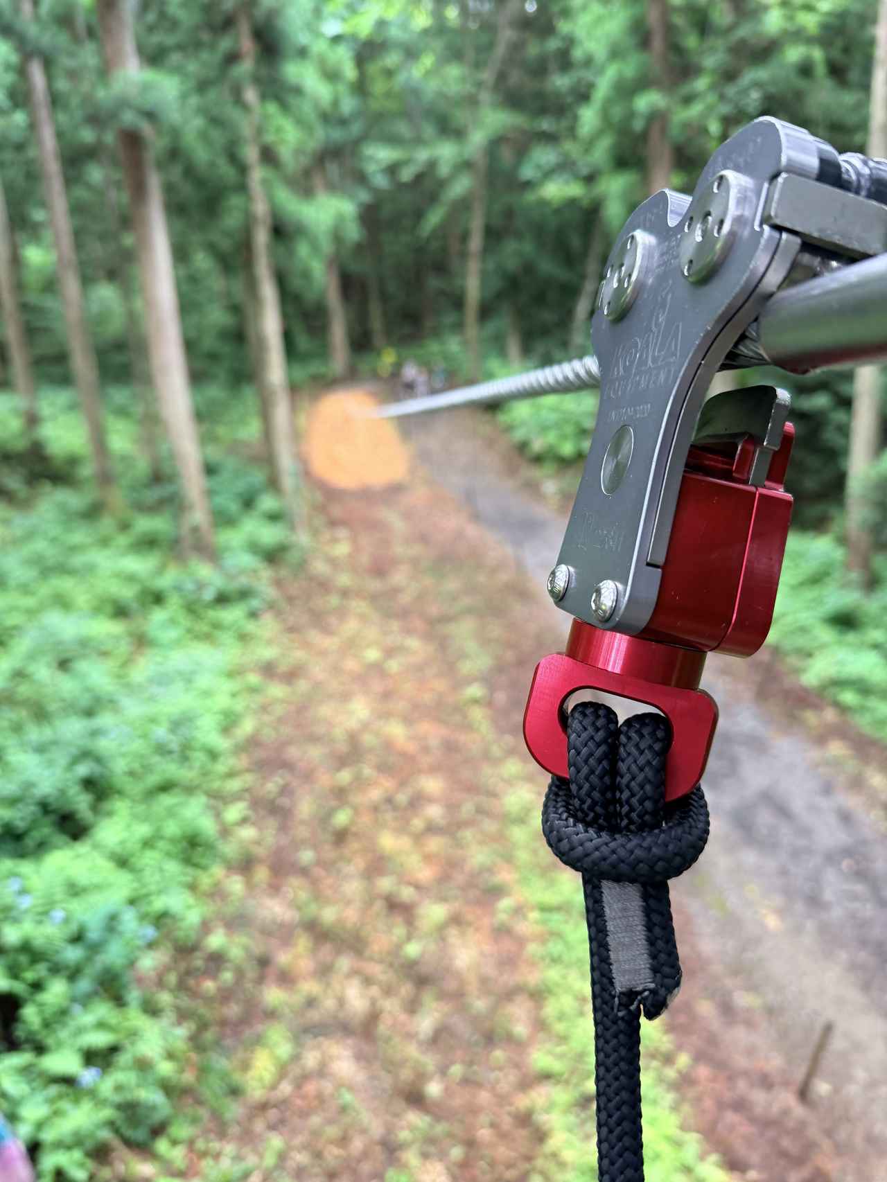 画像: 勇気がいる高さ!