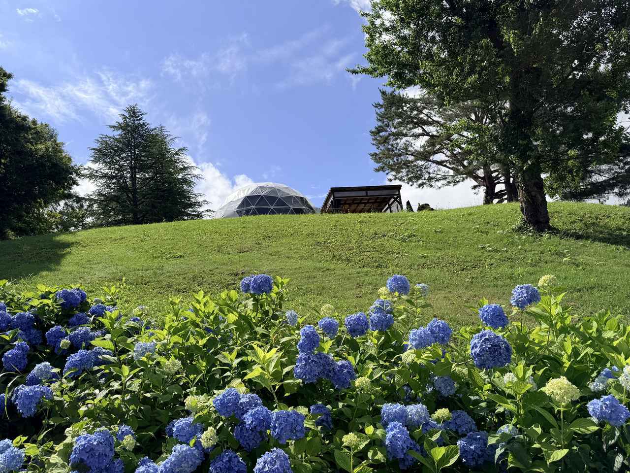 画像2: 新潟の絶景に癒やされる♡”遊んで、泊まって、深呼吸”『舞子リゾート』贅沢グランピング✖『フォレストアドベンチャー』体験レポ