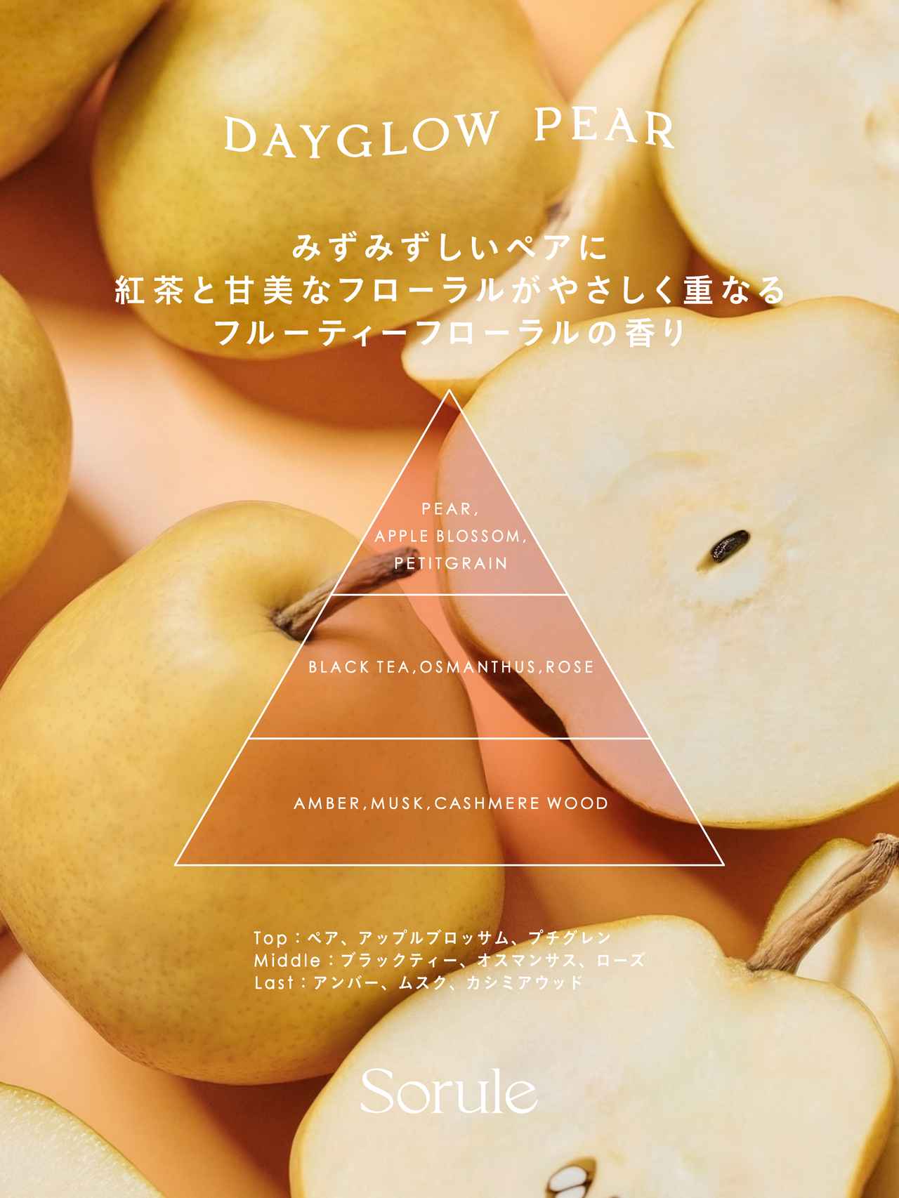 画像: <ヘアケア共通POINT>
