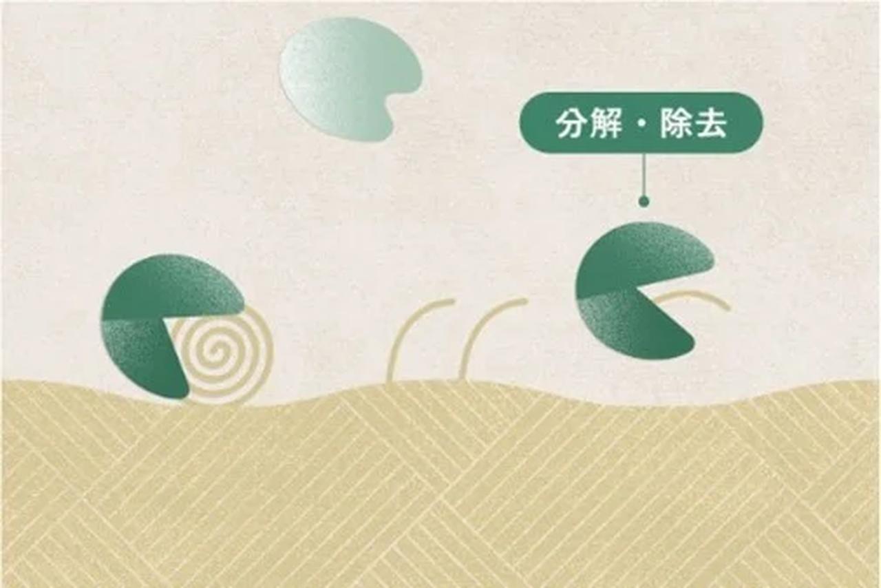 画像2: ②毛羽立った繊維を分解・除去