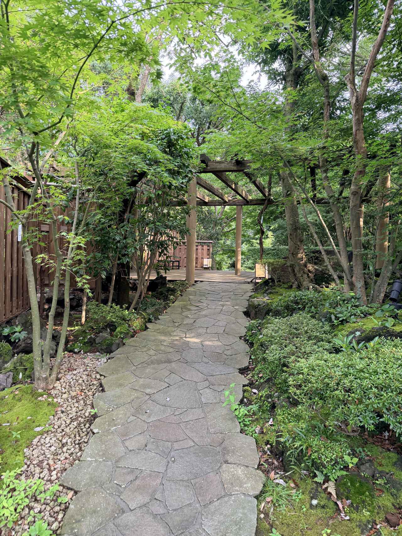 画像3: 伊豆・坐漁荘の南館がリニューアル♡万葉集と俳句が息づく新しい“文化に泊まる”体験へ