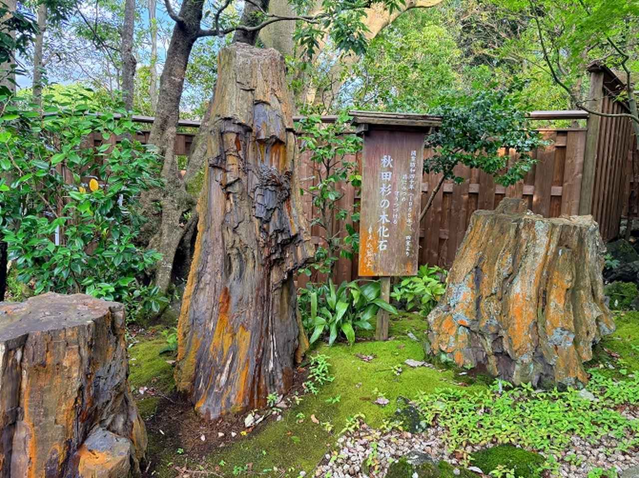画像4: 伊豆・坐漁荘の南館がリニューアル♡万葉集と俳句が息づく新しい“文化に泊まる”体験へ