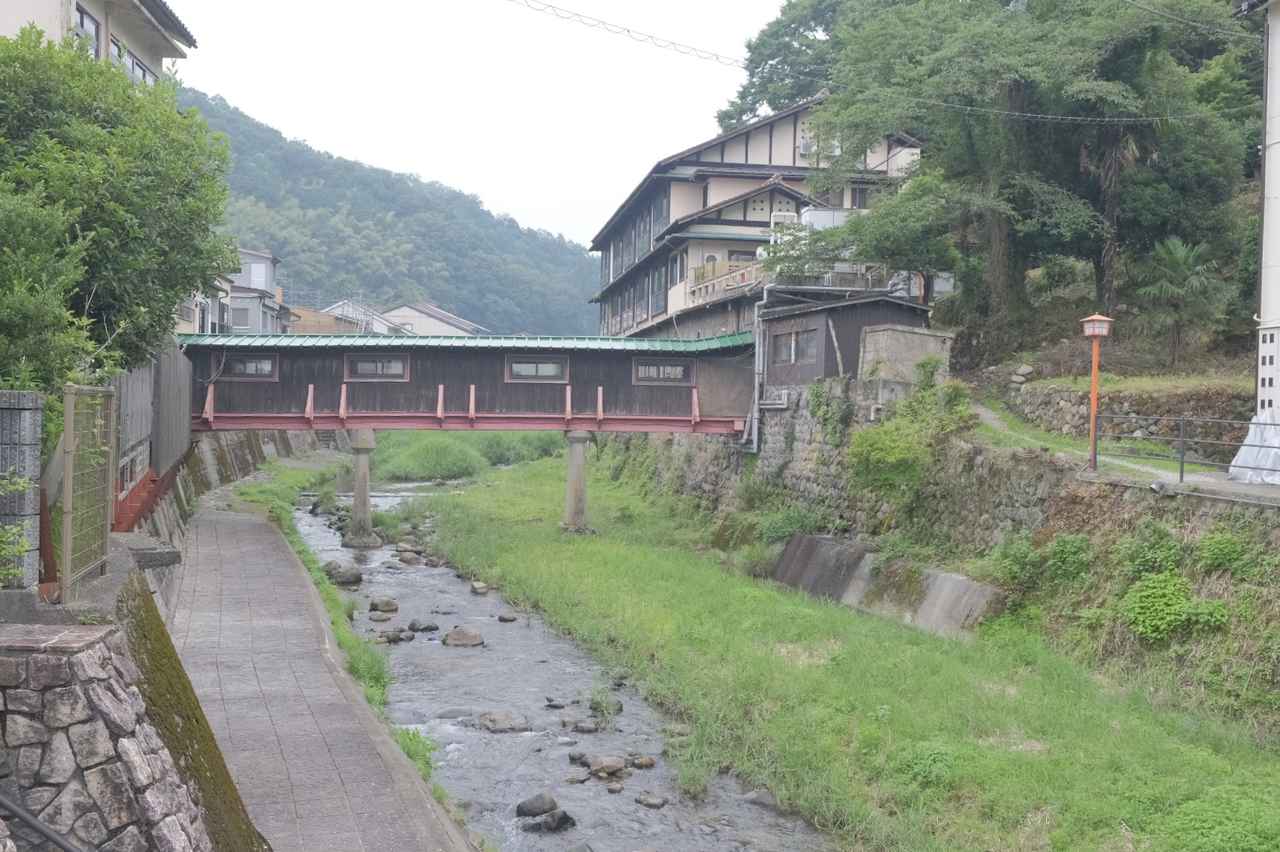 画像23: 【試泊レポ】緑豊かな森林露天風呂に、鮮度抜群の大江戸三つ星バイキングが自慢の温泉宿♪『大江戸温泉物語 三好屋』