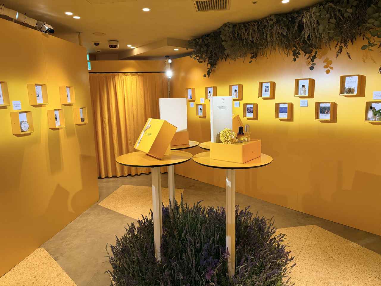 画像3: まるで宝探し！50のギフトボックスからあふれるブランドのストーリー