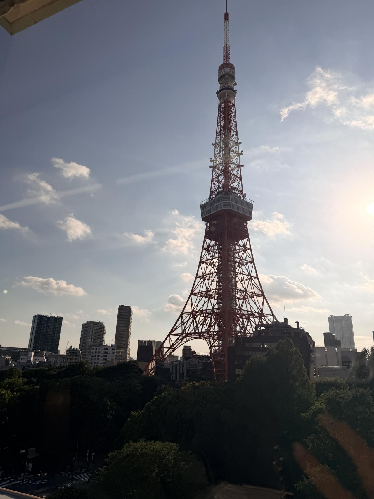 画像9: 究極のスリープツーリズム♡【東京プリンスホテル】で叶える極上のデジタルデトックス&快眠ご褒美ステイ