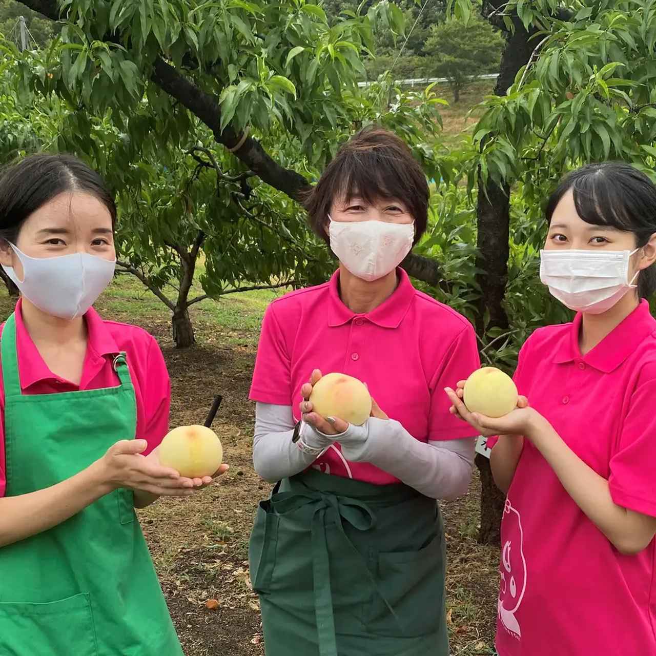 画像3: ひとくちで、極上の涼♡ビブリオテークで出会う最高峰の「まるごと岡山白桃」