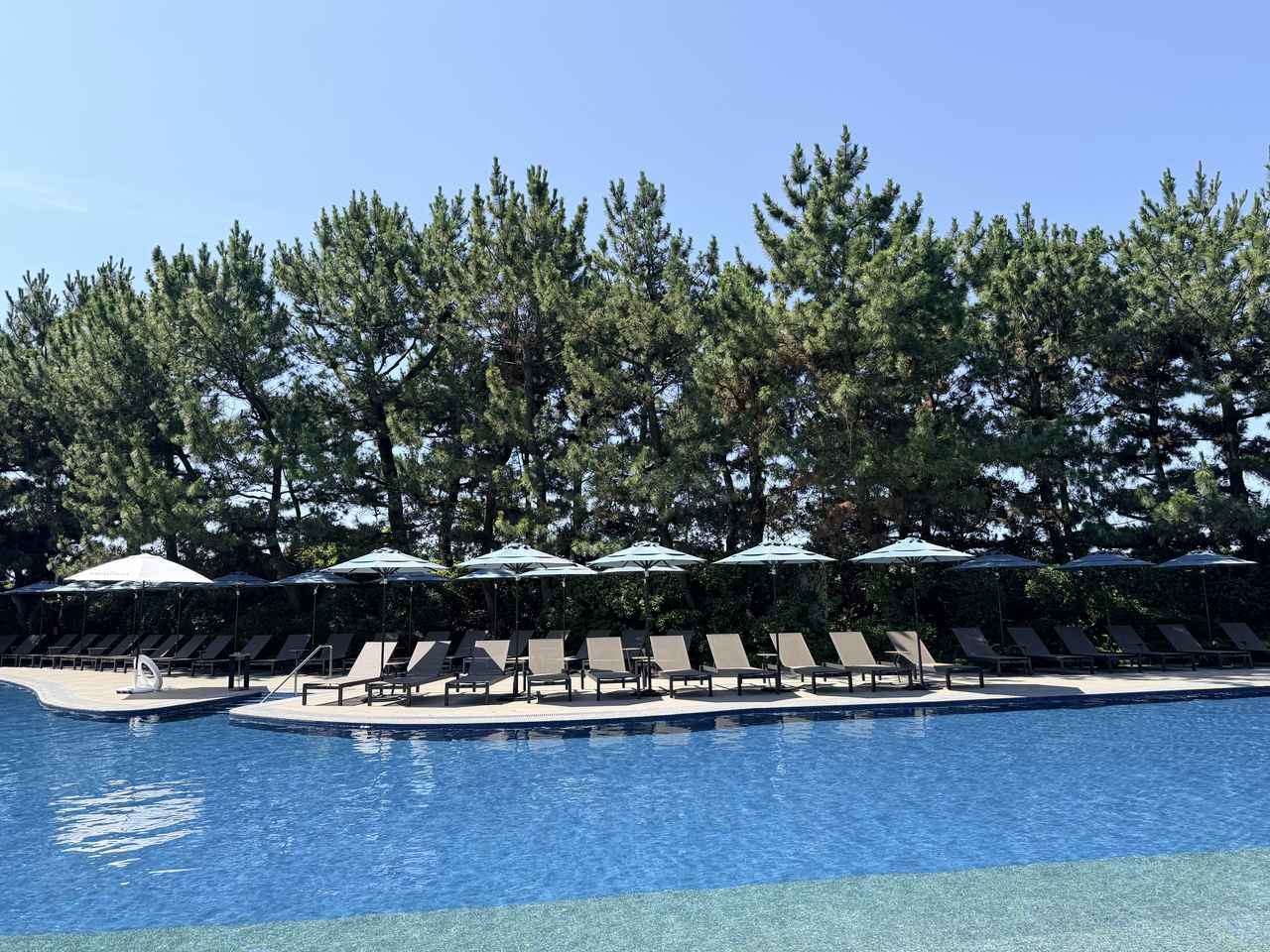 画像13: 都心から約30分で“夏のリゾート体験”♡首都圏最大級のガーデンプールで叶える夏のご褒美ステイ【ヒルトン東京ベイ】