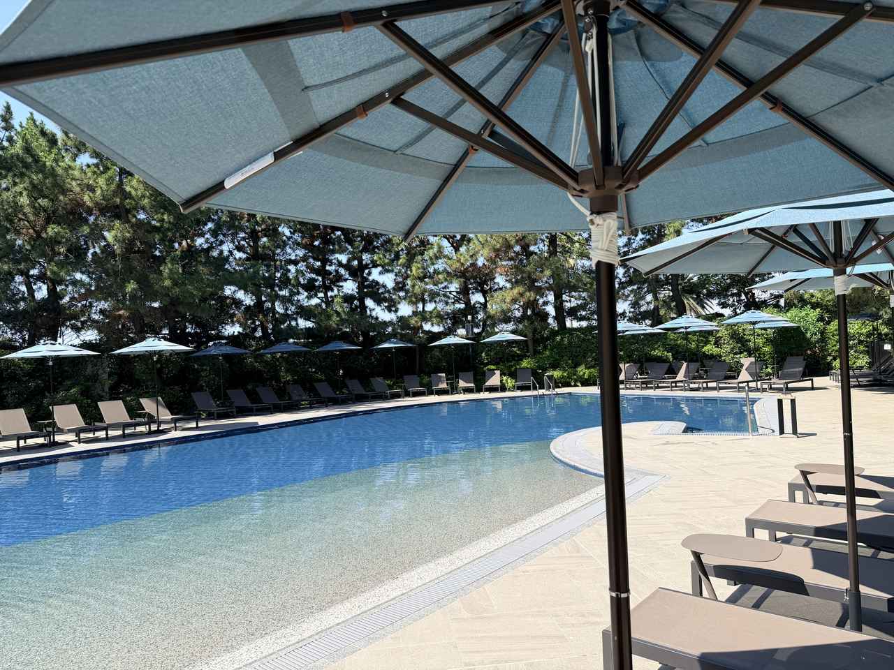画像11: 都心から約30分で“夏のリゾート体験”♡首都圏最大級のガーデンプールで叶える夏のご褒美ステイ【ヒルトン東京ベイ】