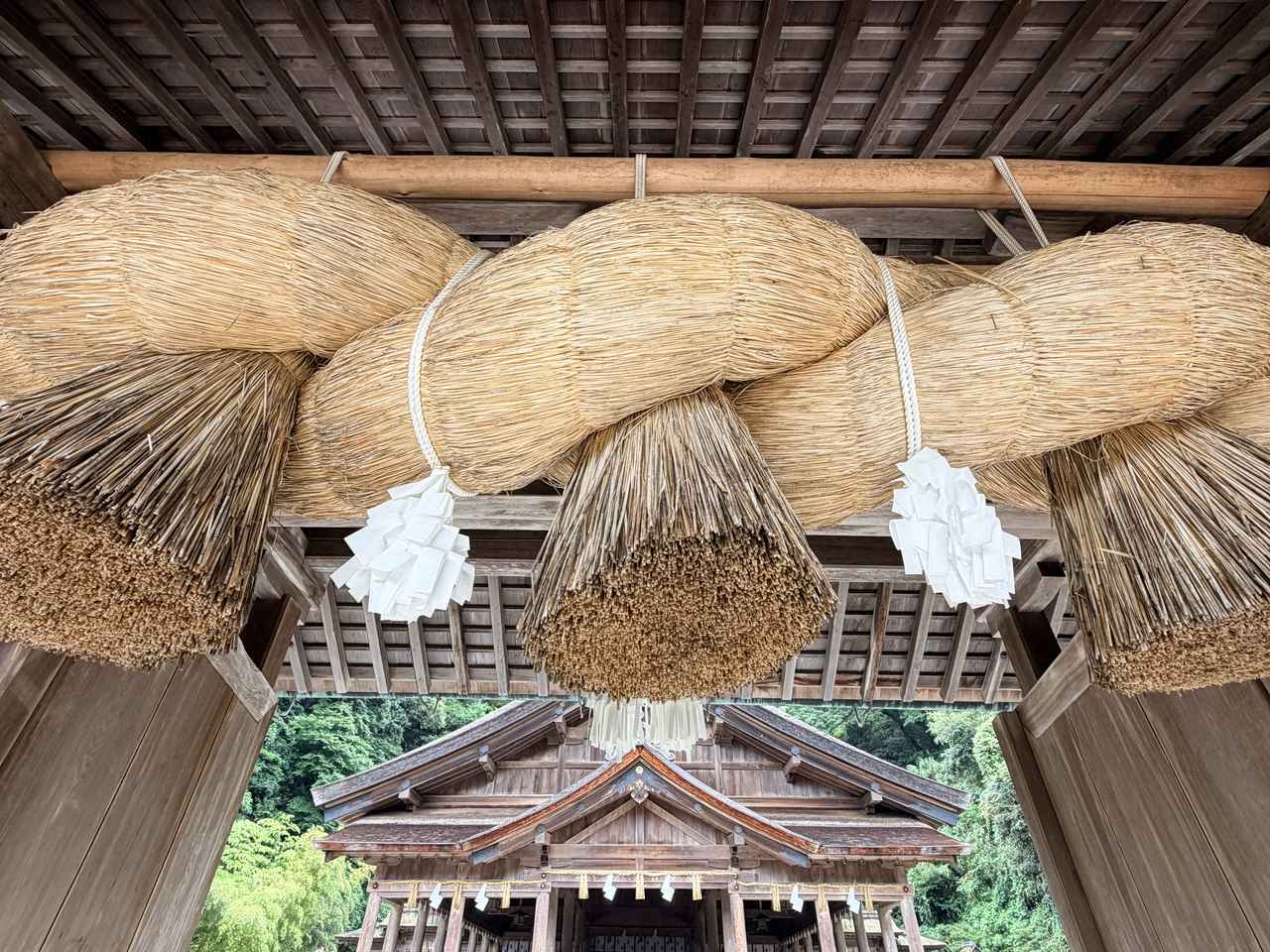 画像37: かつてない豪華食材が勢ぞろい♡鳥取・皆生温泉で叶う!贅沢カニ食べ放題と極上「大江戸三つ星バイキング」