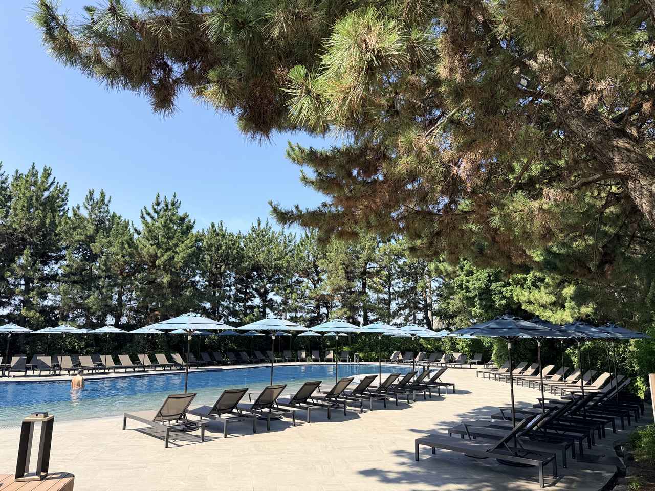 画像14: 都心から約30分で“夏のリゾート体験”♡首都圏最大級のガーデンプールで叶える夏のご褒美ステイ【ヒルトン東京ベイ】