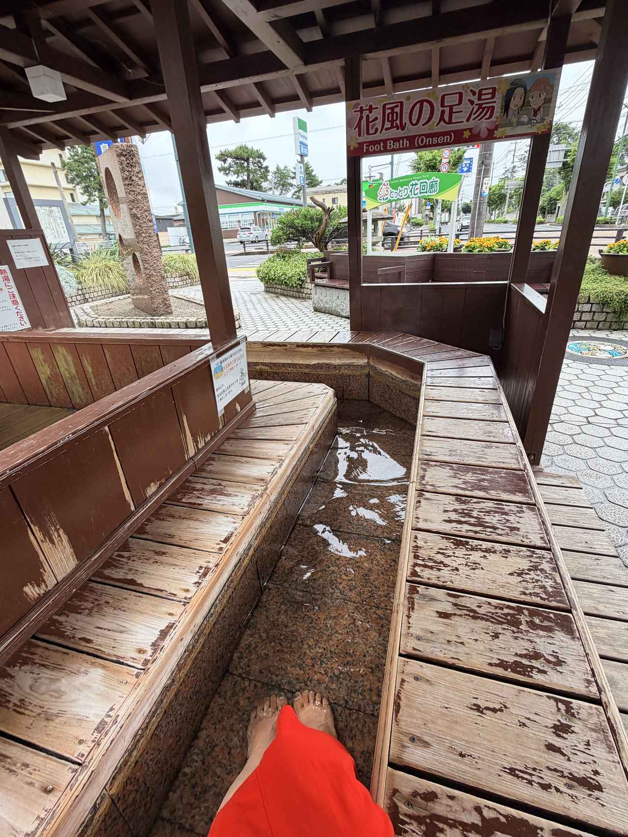 画像33: かつてない豪華食材が勢ぞろい♡鳥取・皆生温泉で叶う!贅沢カニ食べ放題と極上「大江戸三つ星バイキング」