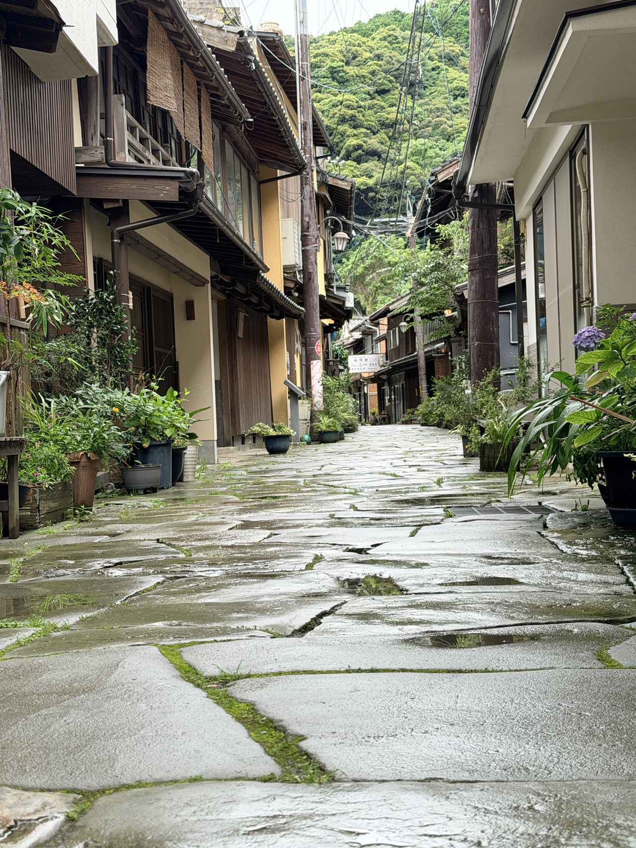 画像42: かつてない豪華食材が勢ぞろい♡鳥取・皆生温泉で叶う!贅沢カニ食べ放題と極上「大江戸三つ星バイキング」