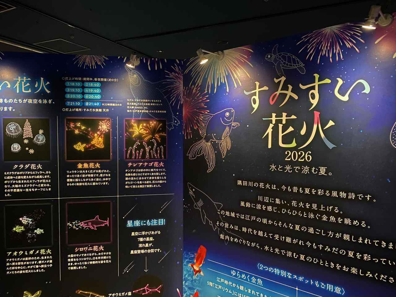 画像1: 【レポ】すみだ水族館「すみすい花火2026」開催!幻想的な花火と金魚、クラゲ風鈴で涼む夏イベント