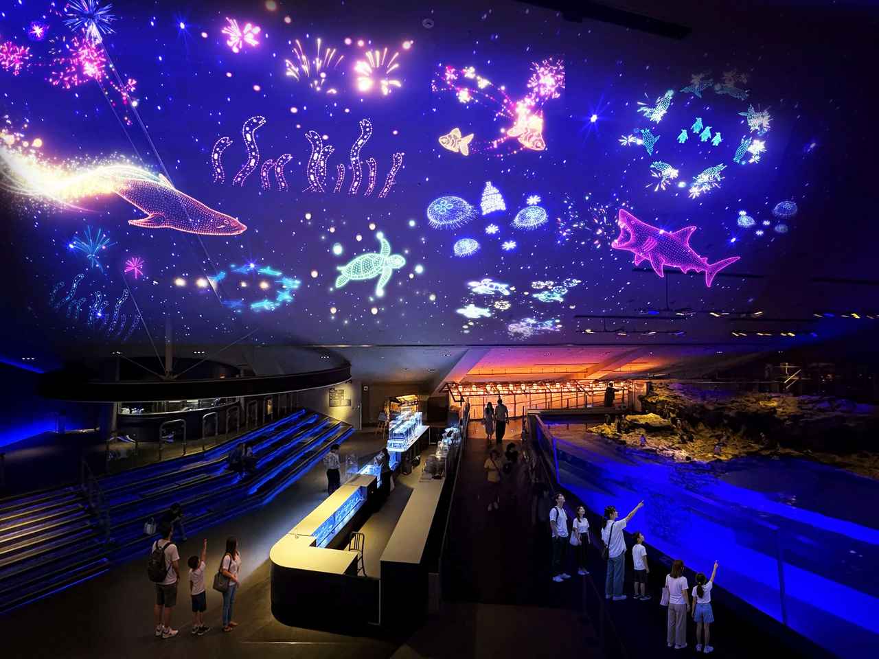 画像: www.sumida-aquarium.com