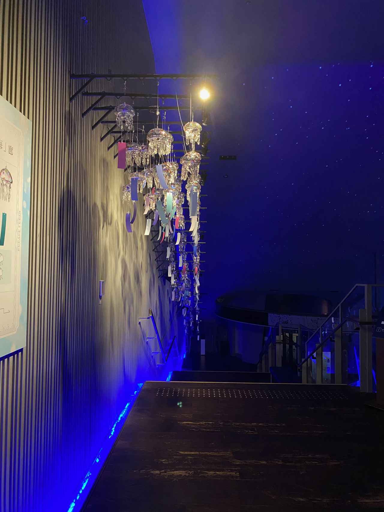 画像2: 【レポ】すみだ水族館「すみすい花火2026」開催!幻想的な花火と金魚、クラゲ風鈴で涼む夏イベント