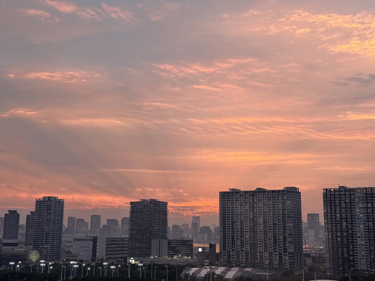 画像: 有明のオアシスで過ごす優しい時間