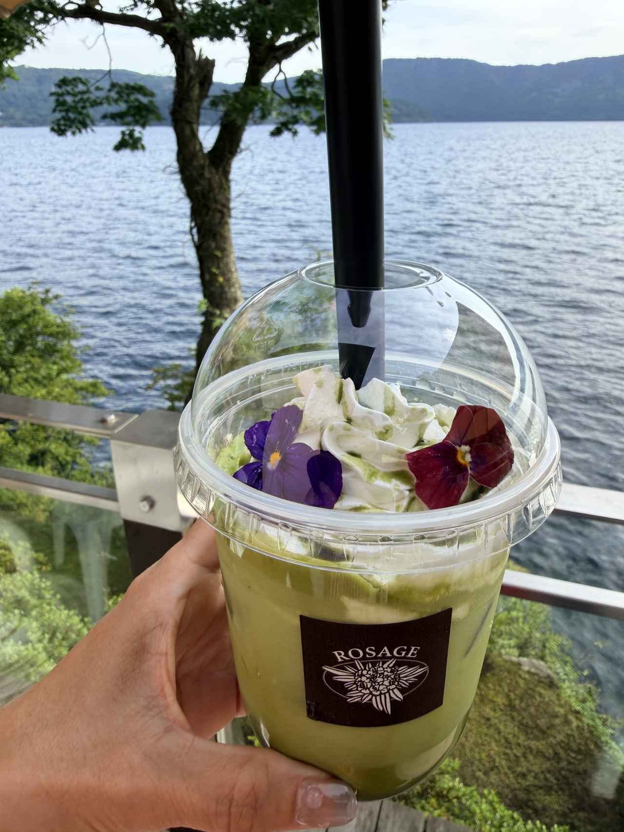 画像21: 箱根海賊船「ロワイヤルⅡ」が美しく刷新!優雅な芦ノ湖プチ贅沢旅へ