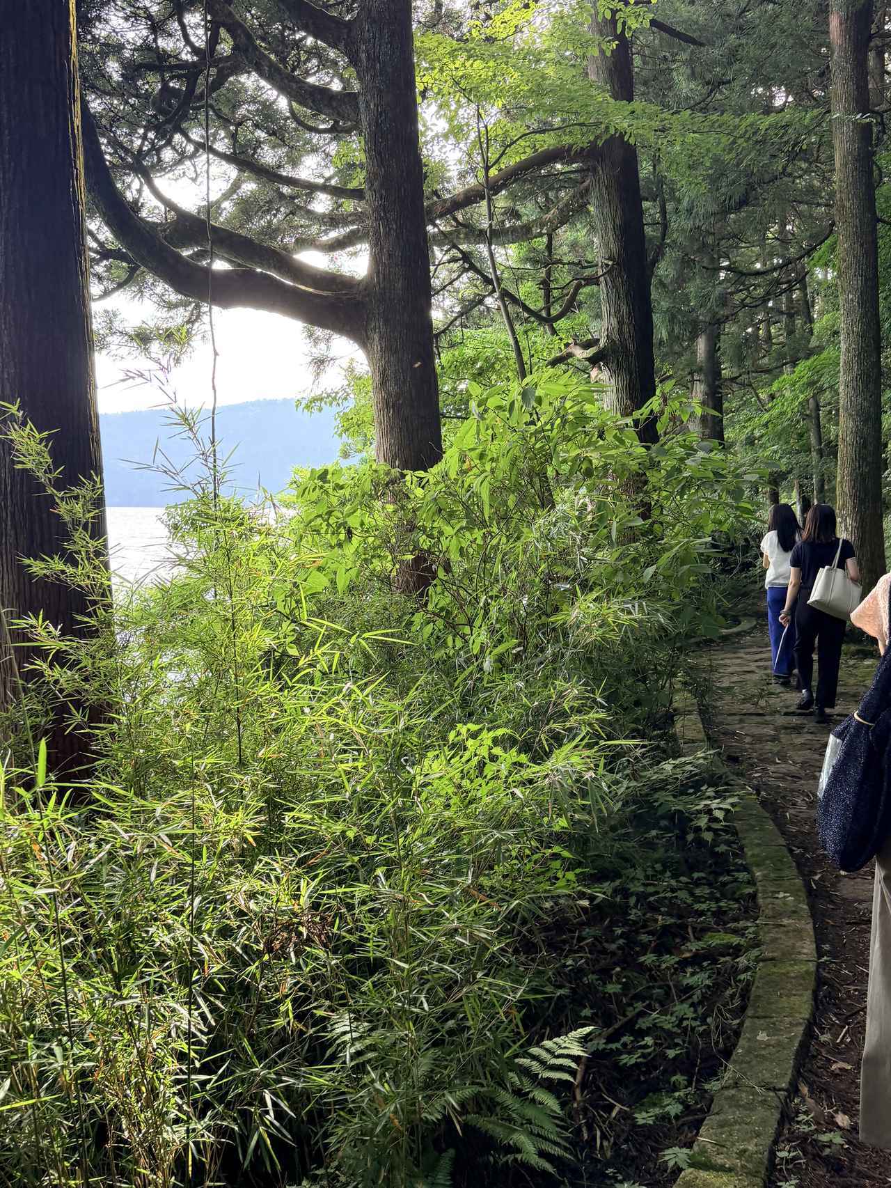 画像16: 箱根海賊船「ロワイヤルⅡ」が美しく刷新!優雅な芦ノ湖プチ贅沢旅へ