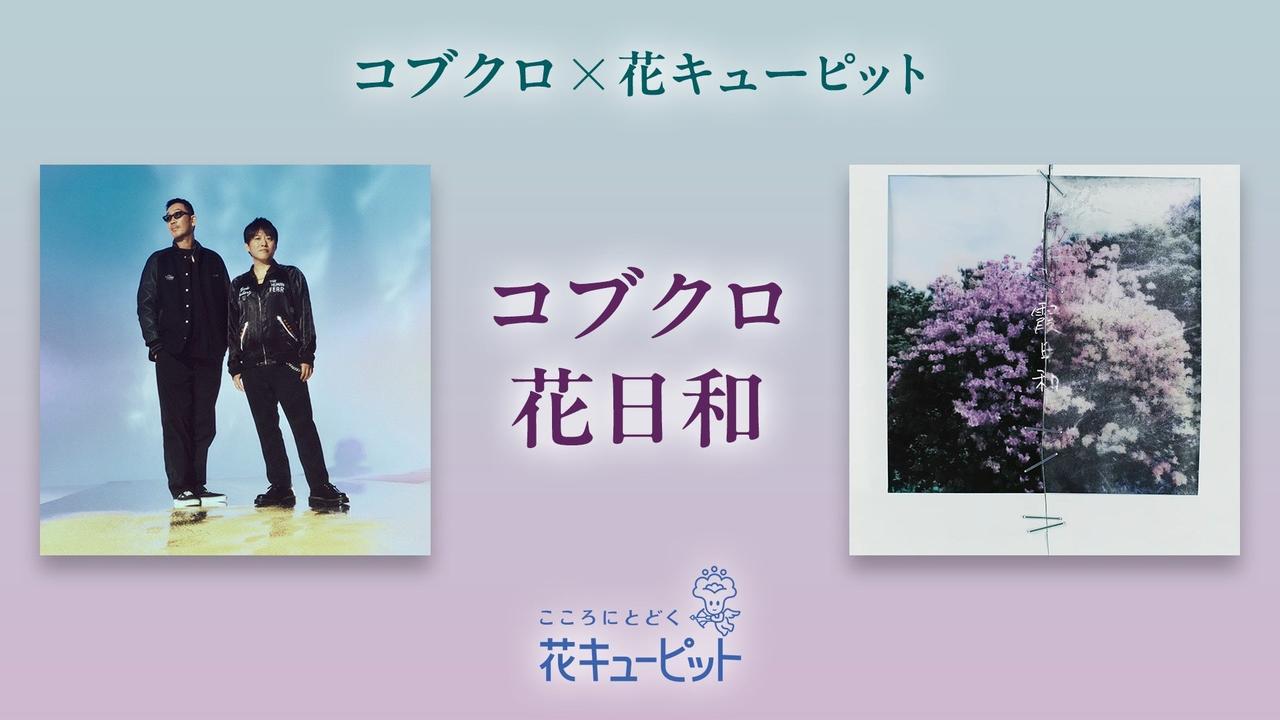 画像: コブクロ×花キューピットが初コラボ!「コブクロ花日和」始動、全国ツアー会場に花のフォトスポットも