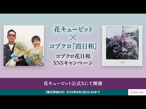 画像: 花キューピット×コブクロ『霞日和』コブクロ花日和SNSキャンペーン www.youtube.com
