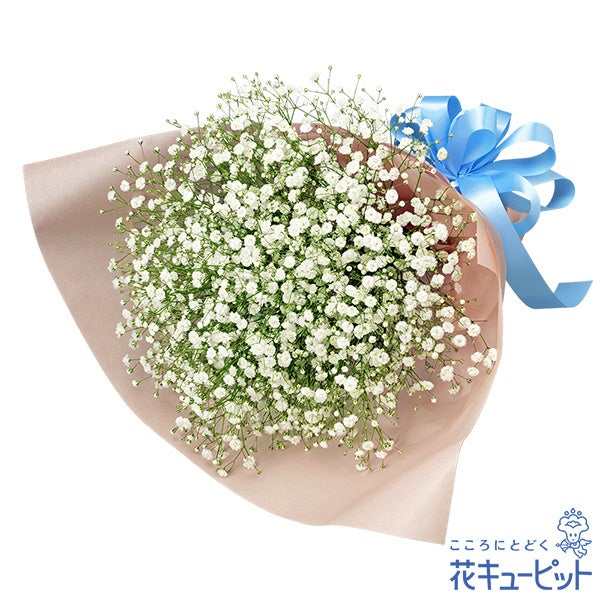 画像: カスミソウの花束